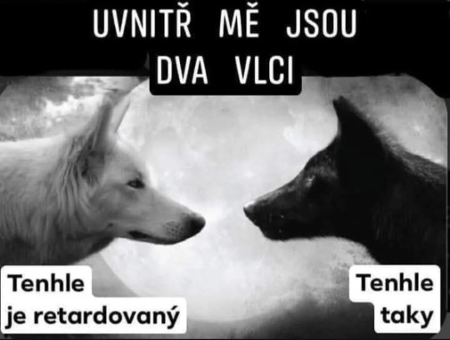 2 vlky